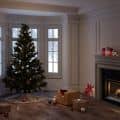 10 days until Christmas