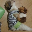 vichan