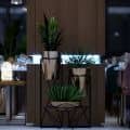 Modern Restaurant 