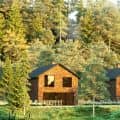 FOREST VILLA