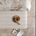 3D Visualization of High-End Mattresses In a Cozy Setting