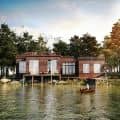 Forest house