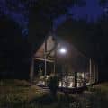 In the forest_