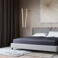 Trendy Guest Bedroom Design Visualization