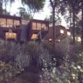 Forest House