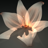 A flower created for fun