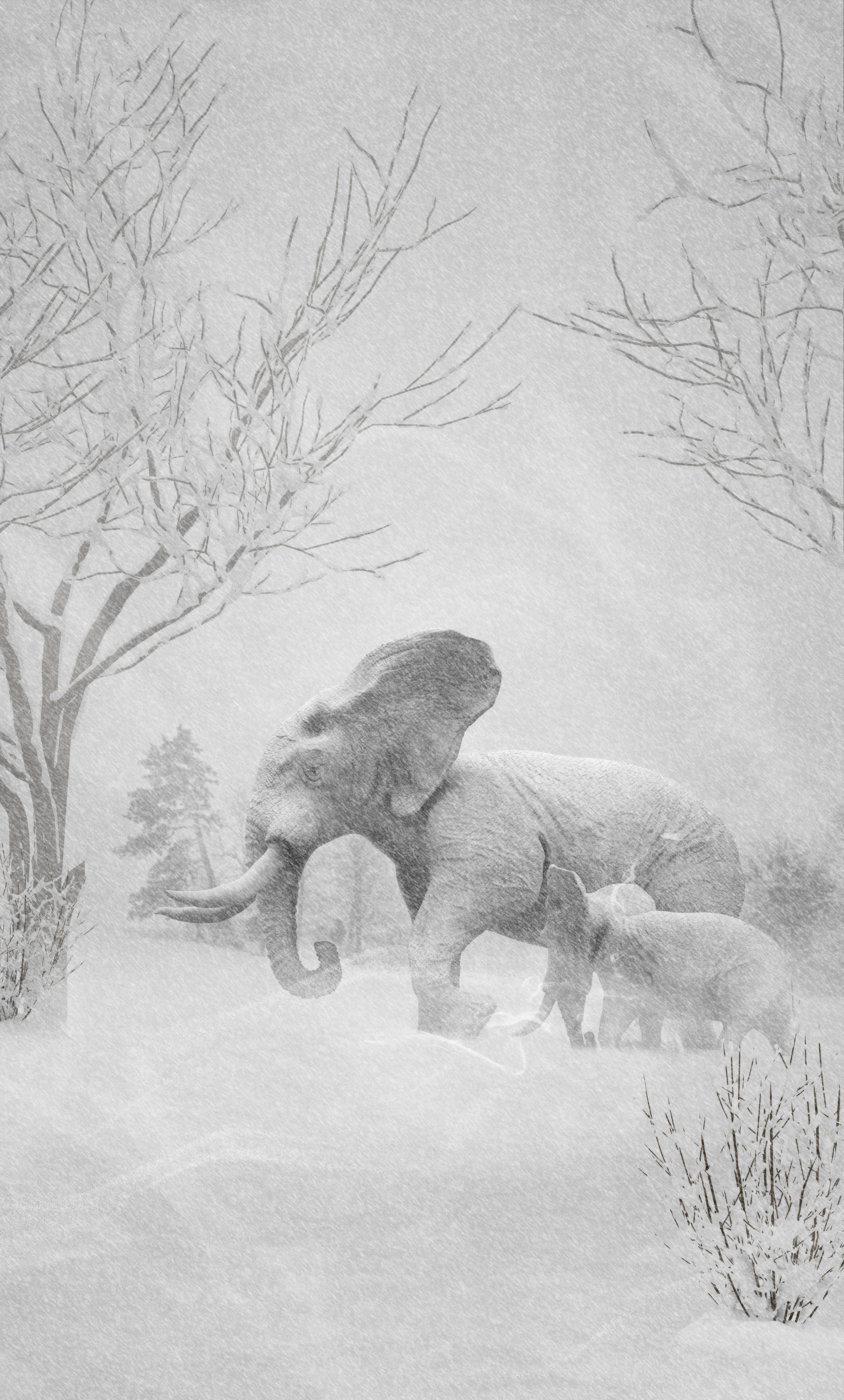 winter-elephants-