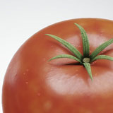 Tomatoes test