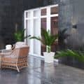 rainy yard