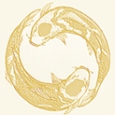 20studio