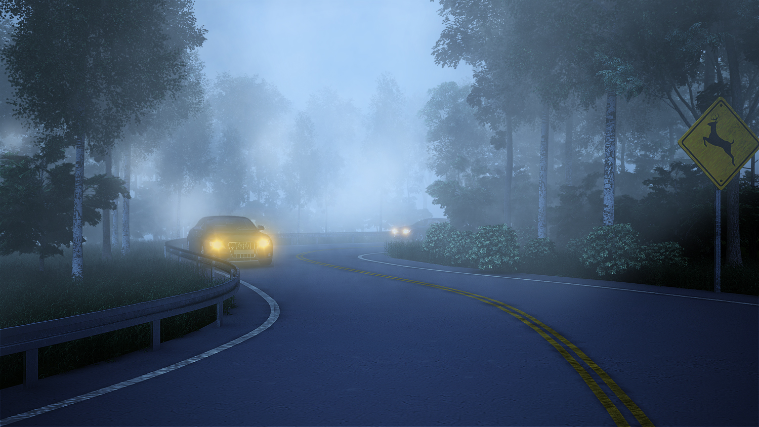 road-fog