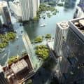 After the Flood: Miami