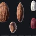 3D Scanned Almond
