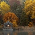 Cabin by the Lake