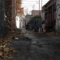 THE TRAGIC END OF NOVEMBER
