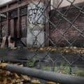 THE TRAGIC END OF NOVEMBER