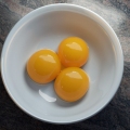 Egg Yolk