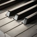 Bill Evans - Tribute