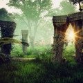 Jungle
