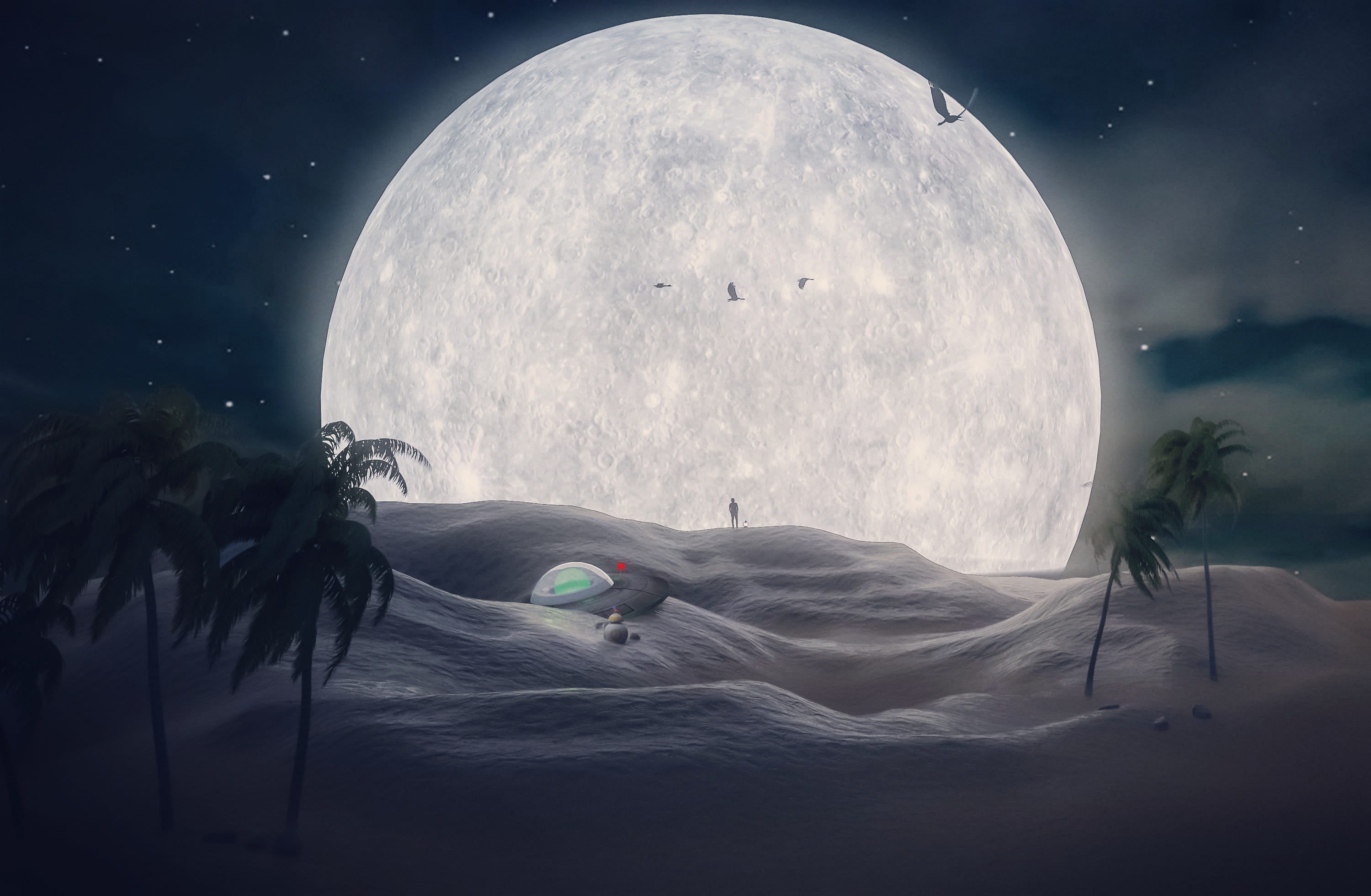 desert-moon-light-