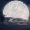 Desert moon light 