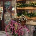 Old Coffeeshop