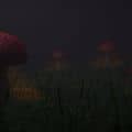 Mushrooms Sleepover
