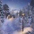 Winter House