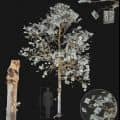 Money Tree