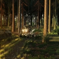 Quad Bike In Forest..........