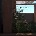 roof garden