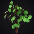 Hand paint money tree