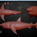 White Shark 3d