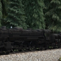 Train in the trees