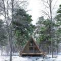 Woodland Cabin Winter Scene