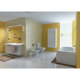 interior residential house bathroom