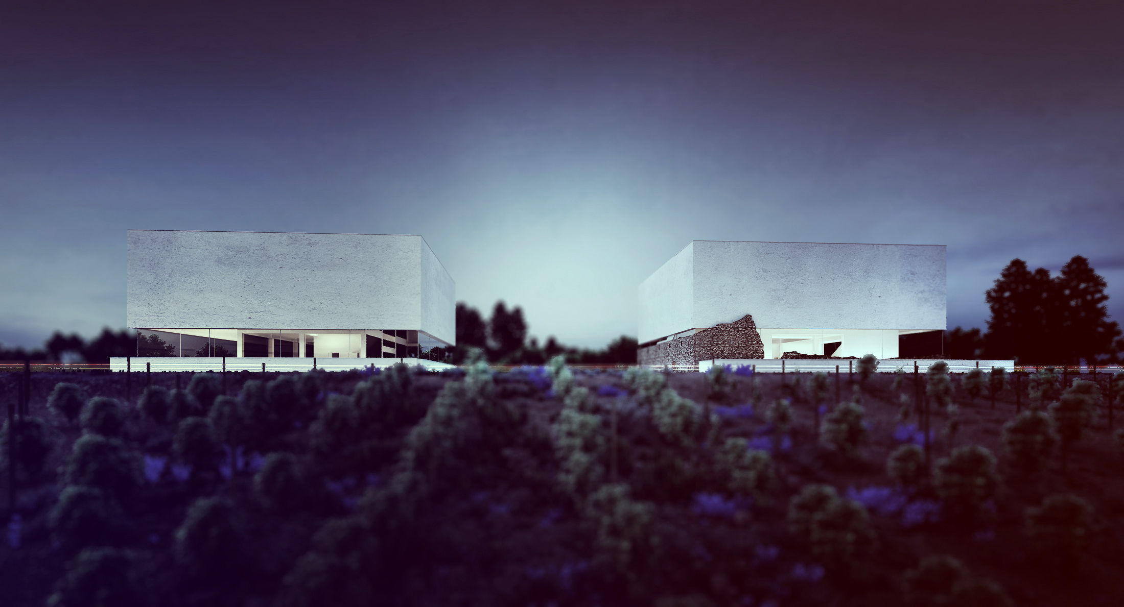 architectural-concept-of-vineyard-in-requena-