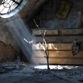 " Life from death "
