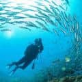 DIver