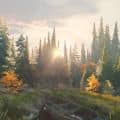 Autumn forest