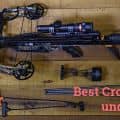 Best Crossbow Under 500