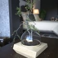 bonsai