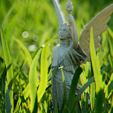angel  in grass