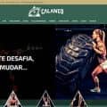 Criação de Sites