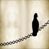 pigeon on chain