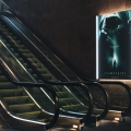 The Escalators