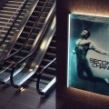 The Escalators