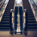 The Escalators