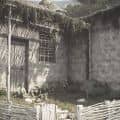Mountain Home