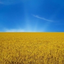 dychik